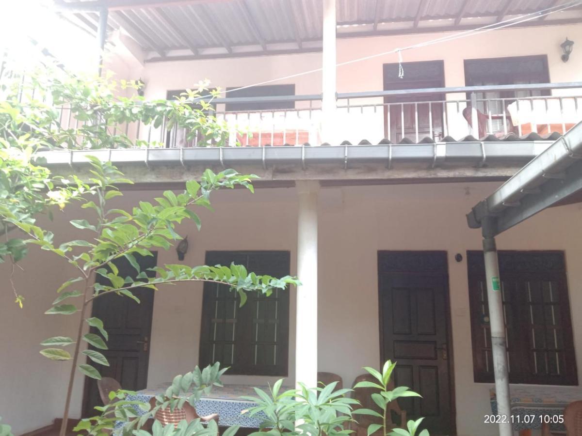 Ancient Tree Hotel Mirissa Ngoại thất bức ảnh