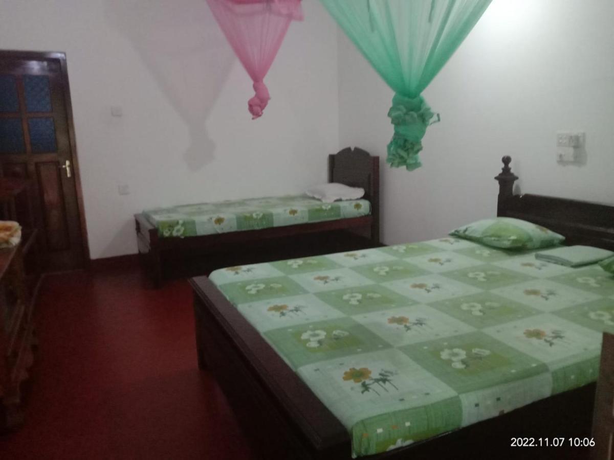 Ancient Tree Hotel Mirissa Ngoại thất bức ảnh