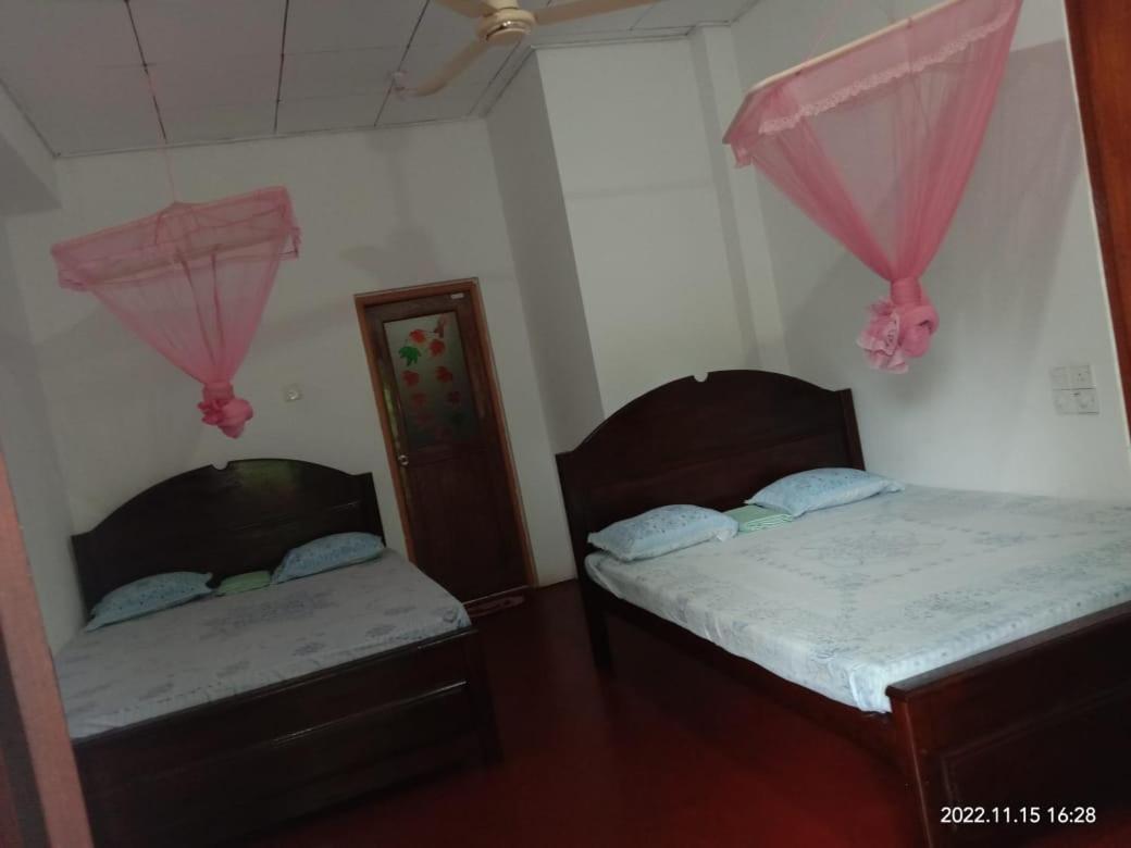 Ancient Tree Hotel Mirissa Ngoại thất bức ảnh