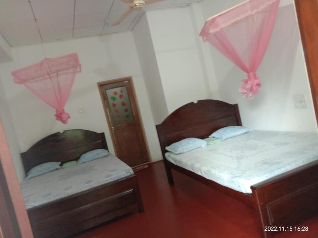 Ancient Tree Hotel Mirissa Ngoại thất bức ảnh