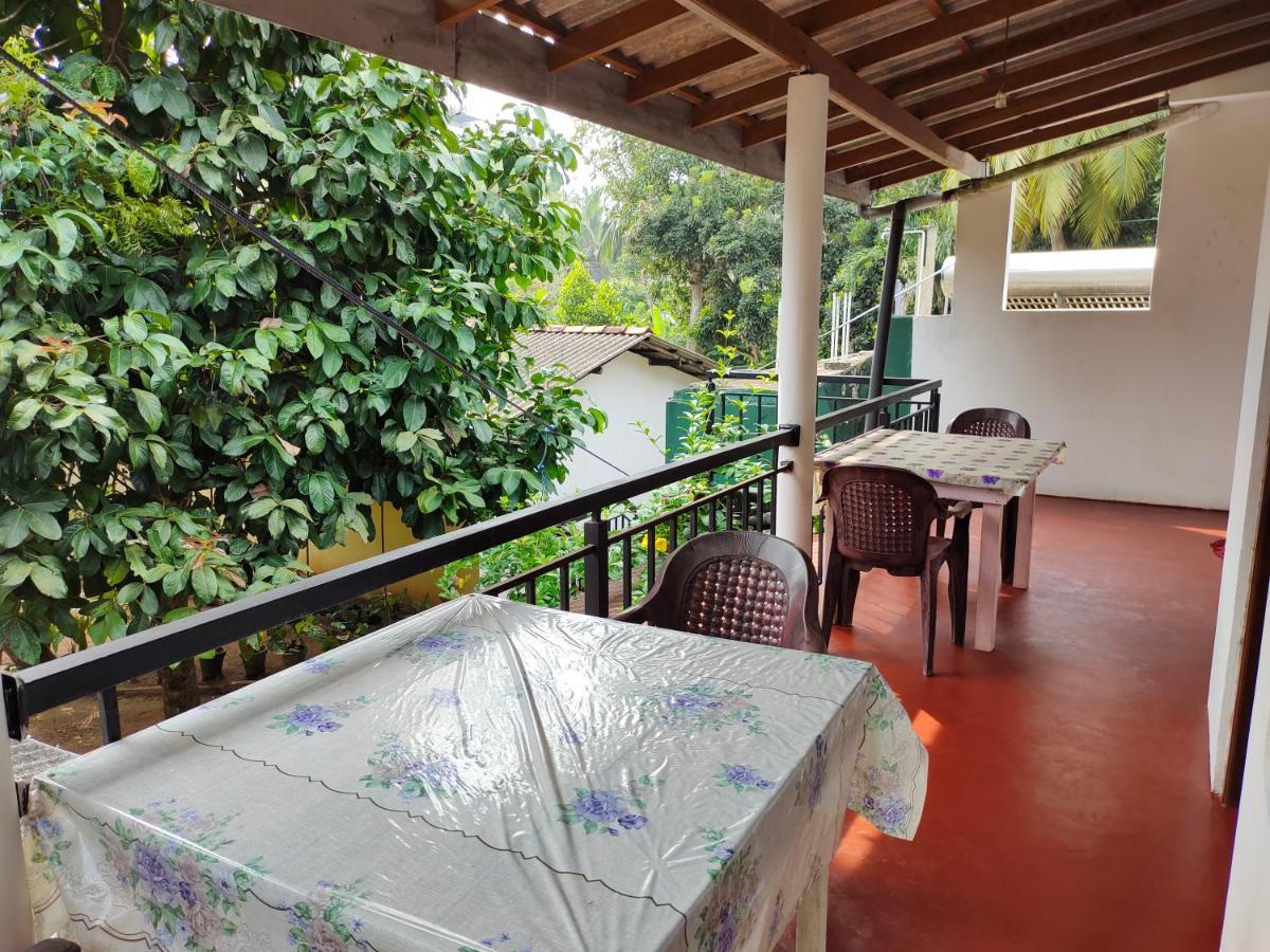 Ancient Tree Hotel Mirissa Ngoại thất bức ảnh