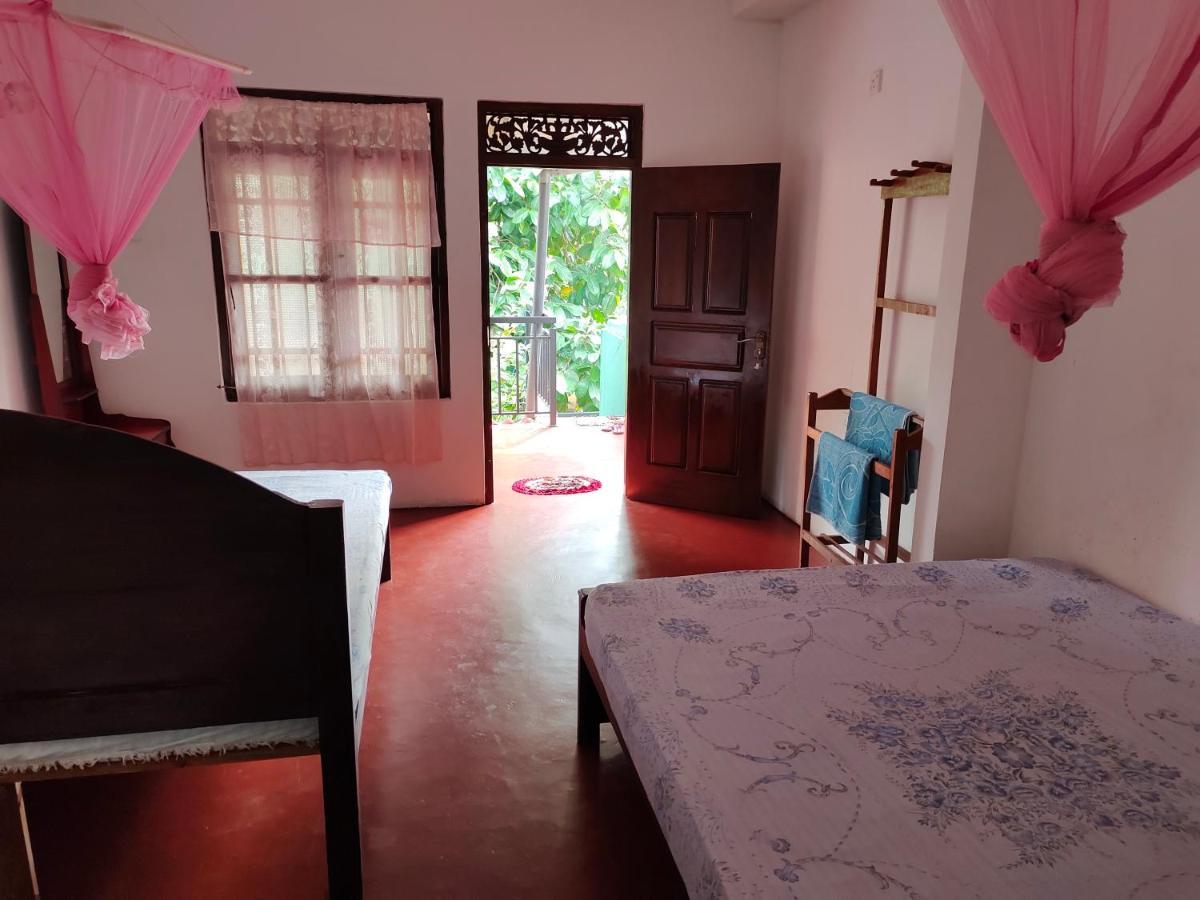 Ancient Tree Hotel Mirissa Ngoại thất bức ảnh