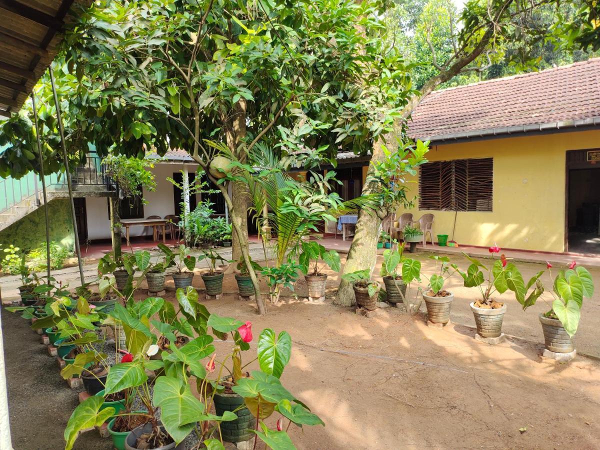 Ancient Tree Hotel Mirissa Ngoại thất bức ảnh
