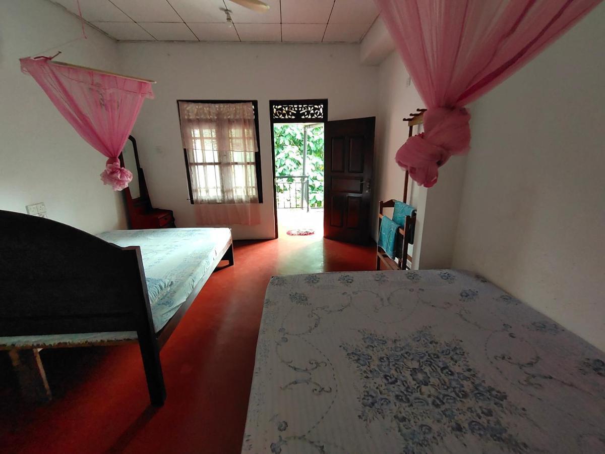 Ancient Tree Hotel Mirissa Ngoại thất bức ảnh