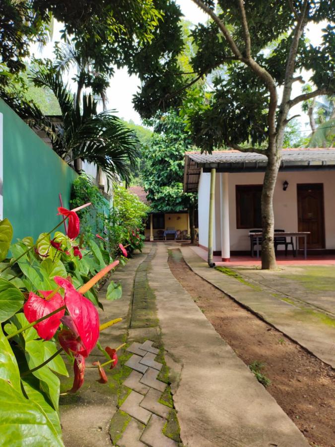 Ancient Tree Hotel Mirissa Ngoại thất bức ảnh