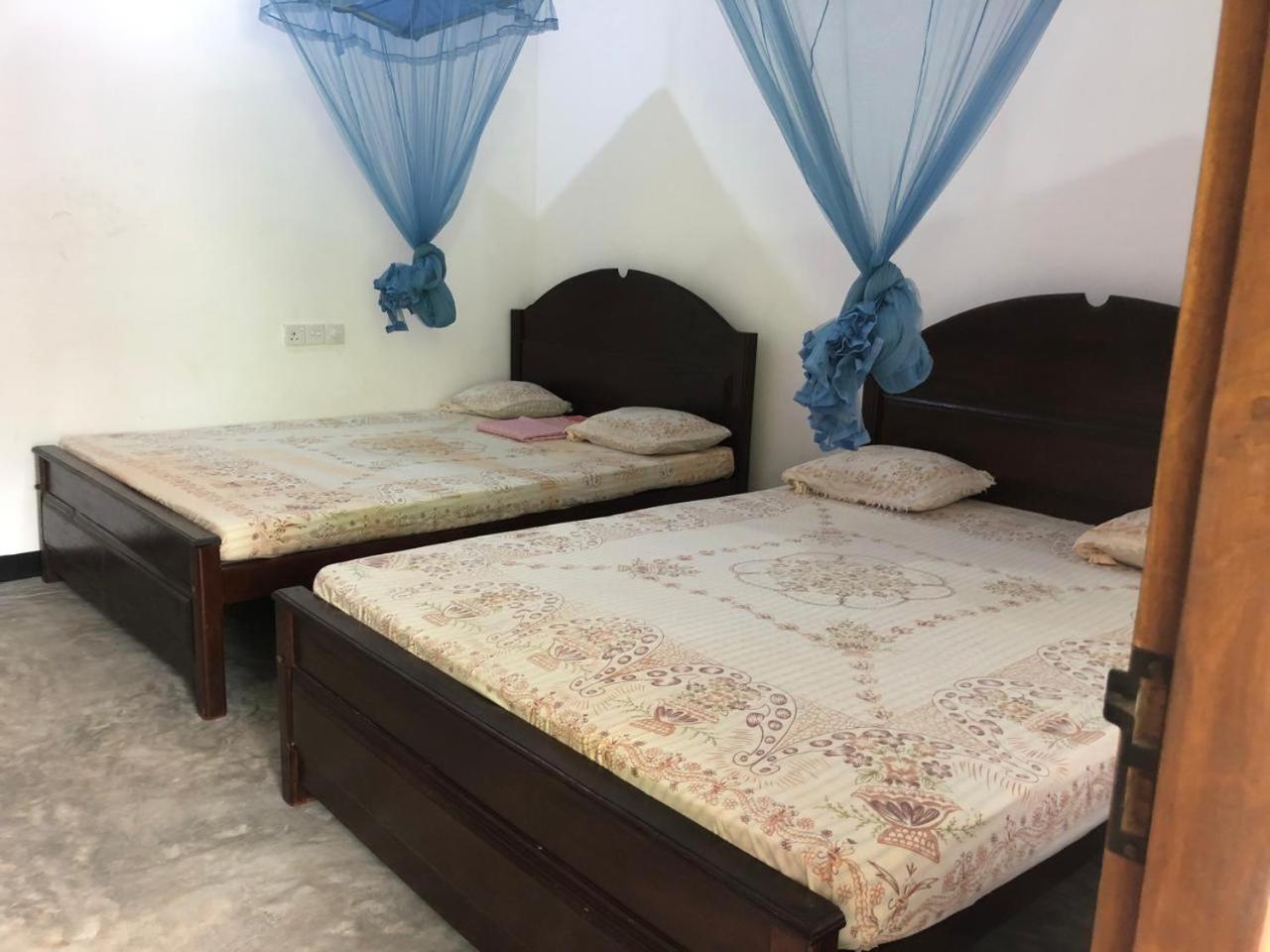 Ancient Tree Hotel Mirissa Ngoại thất bức ảnh