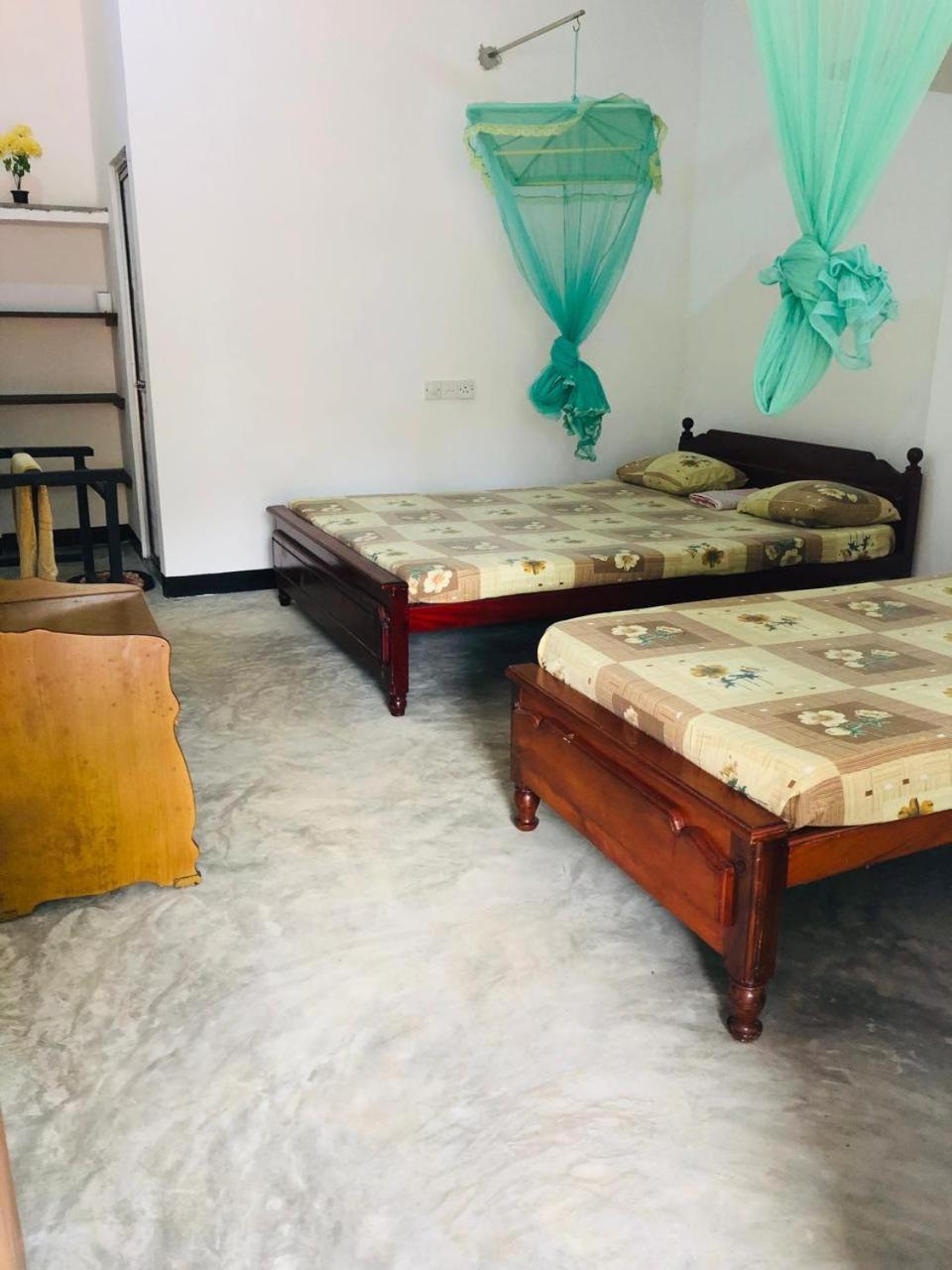 Ancient Tree Hotel Mirissa Ngoại thất bức ảnh