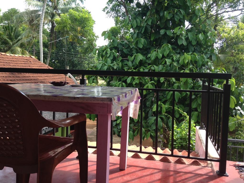 Ancient Tree Hotel Mirissa Ngoại thất bức ảnh