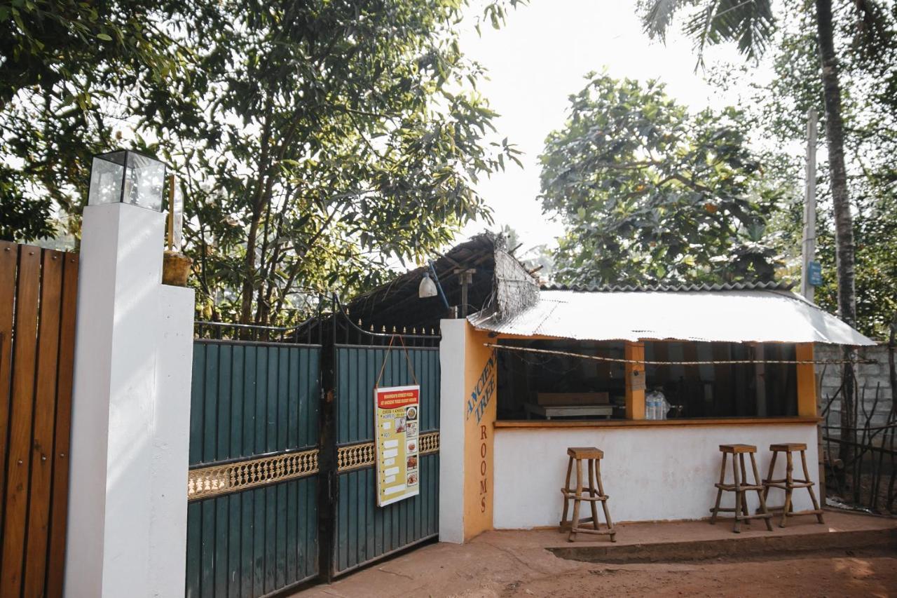 Ancient Tree Hotel Mirissa Ngoại thất bức ảnh